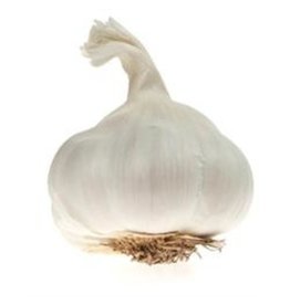 Knoflook, per stuk