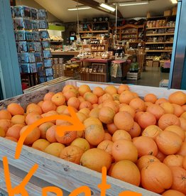 Sinaasappels - van Kreta XXL - per kg