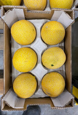 Galia meloen per stuk