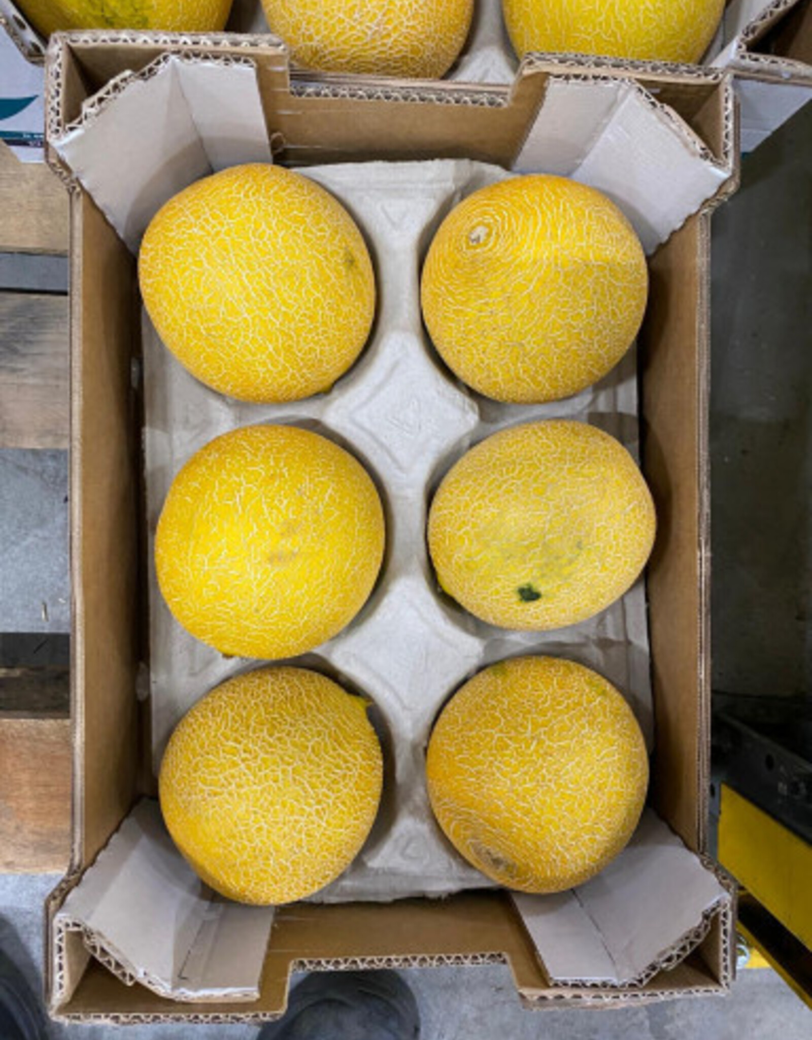 Galia meloen per stuk