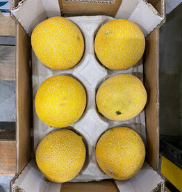 Galia meloen, middel groot