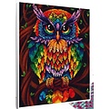 basetrade Diamond Painting 40 x 50 cm uil 2  - FV9564 - vierkante steentjes -