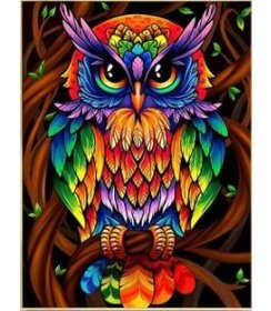 Diamond Painting 40 x 50 cm uil 2  - FV9564 - vierkante steentjes -