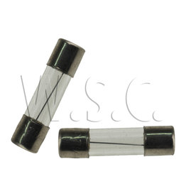 Universeel GLASZEKERING    2.5A  TRAAG