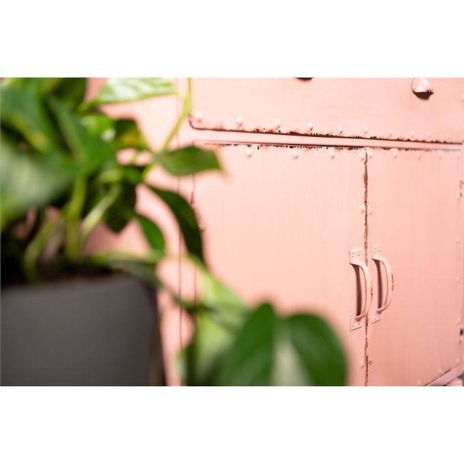 New Roots 2.0 | Roze