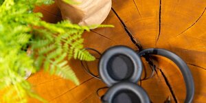 Lief, zacht ingetogen landelijk… maar dan vet stoer