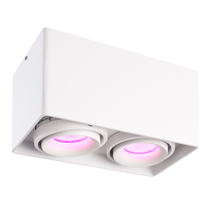 Hoftronic smart Smart WiFi LED opbouw plafondspot Esto wit RGBWW 2 lichts GU10 IP20 kantelbaar