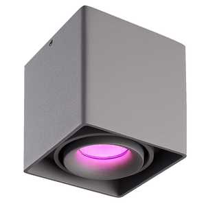 Hoftronic smart Smart WiFi LED surface mounted ceiling spotlight Esto grey RGBWW GU10 IP20 tiltable