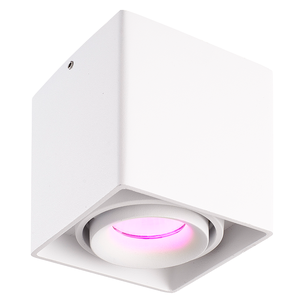 Hoftronic smart Smart WiFi LED opbouw plafondspot Esto wit RGBWW GU10 IP20 kantelbaar