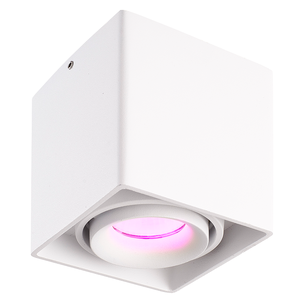 Hoftronic smart Smart WiFi LED surface mounted ceiling spotlight Esto white RGBWW GU10 IP20 tiltable