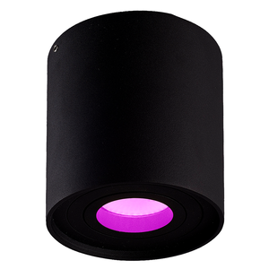 Hoftronic smart Smart WiFi LED opbouw plafondspot Ray zwart RGBWW GU10 IP20 kantelbaar