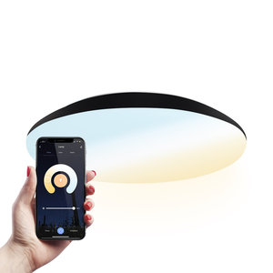 Hoftronic smart LED Ceiling lamp Smart WiFi + BLE 18W CCT - 1900lm - IK10 - Ø30 cm - Black - IP65