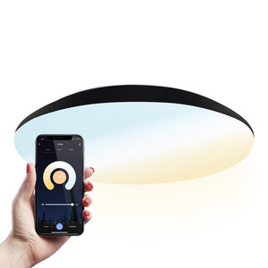 Hoftronic smart LED Deckenleuchte Smart WiFi + BLE 25W einstellbare Lichtfarbe - 2600lm - IK10 - Ø38 cm - Schwarz - IP65