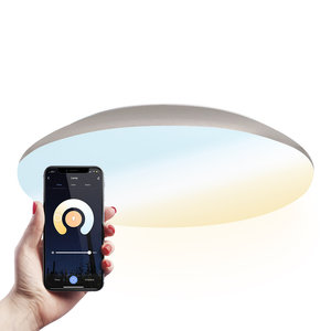 Hoftronic smart LED Ceiling lamp Smart WiFi 25W CCT - 2600lm - IK10 - Ø308 cm - Chrome - IP65