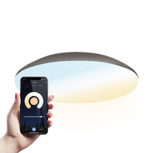 Hoftronic smart LED Ceiling lamp Smart WiFi + BLE 18W CCT - 1900lm - IK10 - Ø30 cm - Stainless steel - IP65