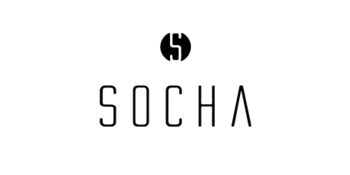 Socha