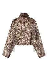 Studio Amaya Feline Jacket - Multi Print