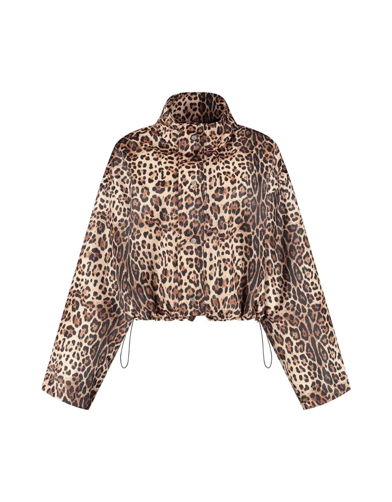Studio Amaya Feline Jacket - Multi Print