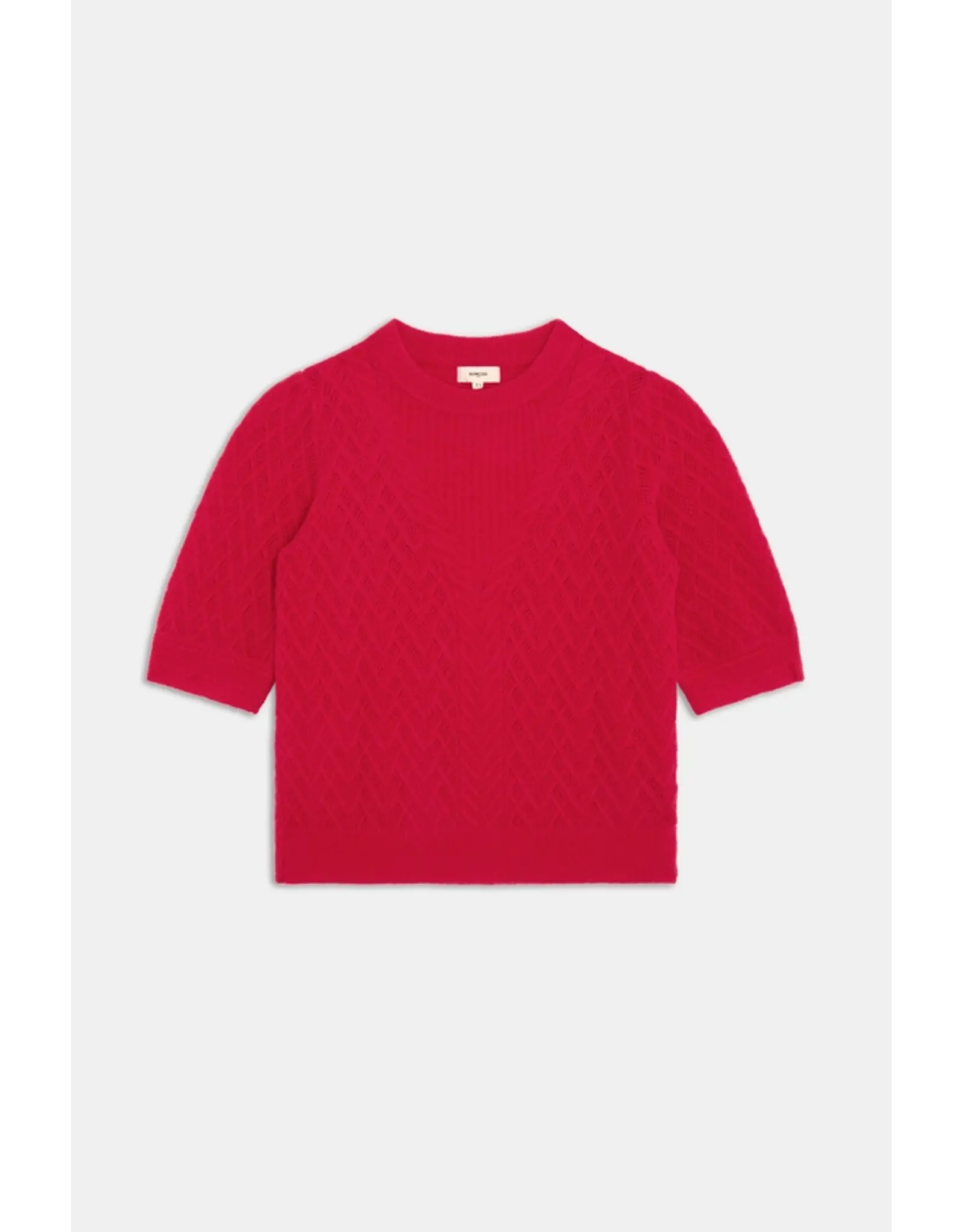 Suncoo Pensee - Geranium