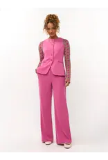 Ydence Pants Solange - Berry Pink