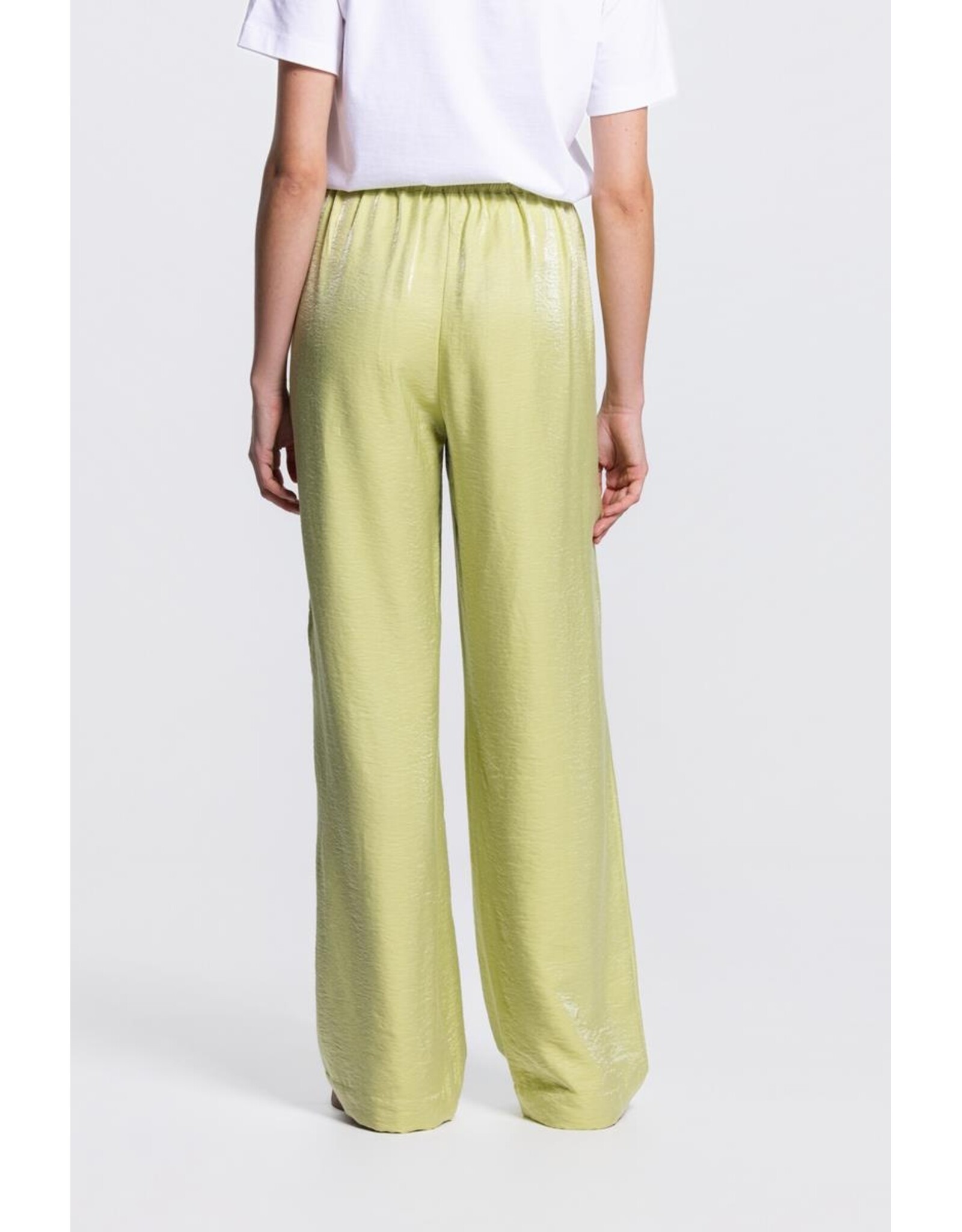 Jansen Do Broek - Avocado