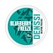 DENSSI Blueberry Freeze