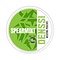 DENSSI Spearmint