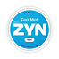 ZYN ZYN Cool Mint Mini Normal ZYN ZYN Cool Mint Mini Normal