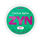 ZYN Cactus Spice Slim Extra Strong