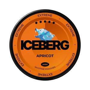 ICEBERG ICEBERG Apricot Mini