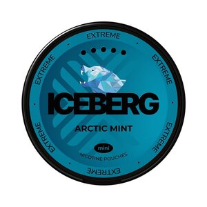 ICEBERG ICEBERG Arctic Mint Mini
