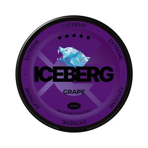 ICEBERG ICEBERG Grape Mini