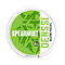 DENSSI Spearmint Light