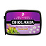 Dholakia Flower Power