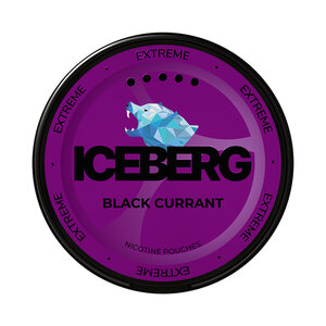 ICEBERG ICEBERG Black Currant