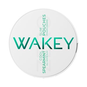 WAKEY WAKEY Cool Spearmint | Sem Nicotina WAKEY WAKEY Cool Spearmint | Sem Nicotina