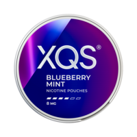 XQS Blueberry Mint