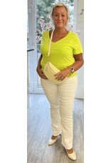 Cream T shirt Love bird V neck