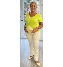 Cream T shirt Love bird V neck