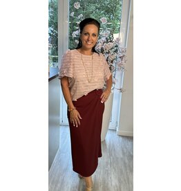 Parijs Rok choco lederlook