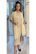 Brussel Rok goud met paillettes