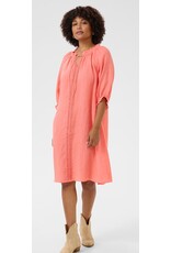 Cream Kleed Bellis porcelain rose