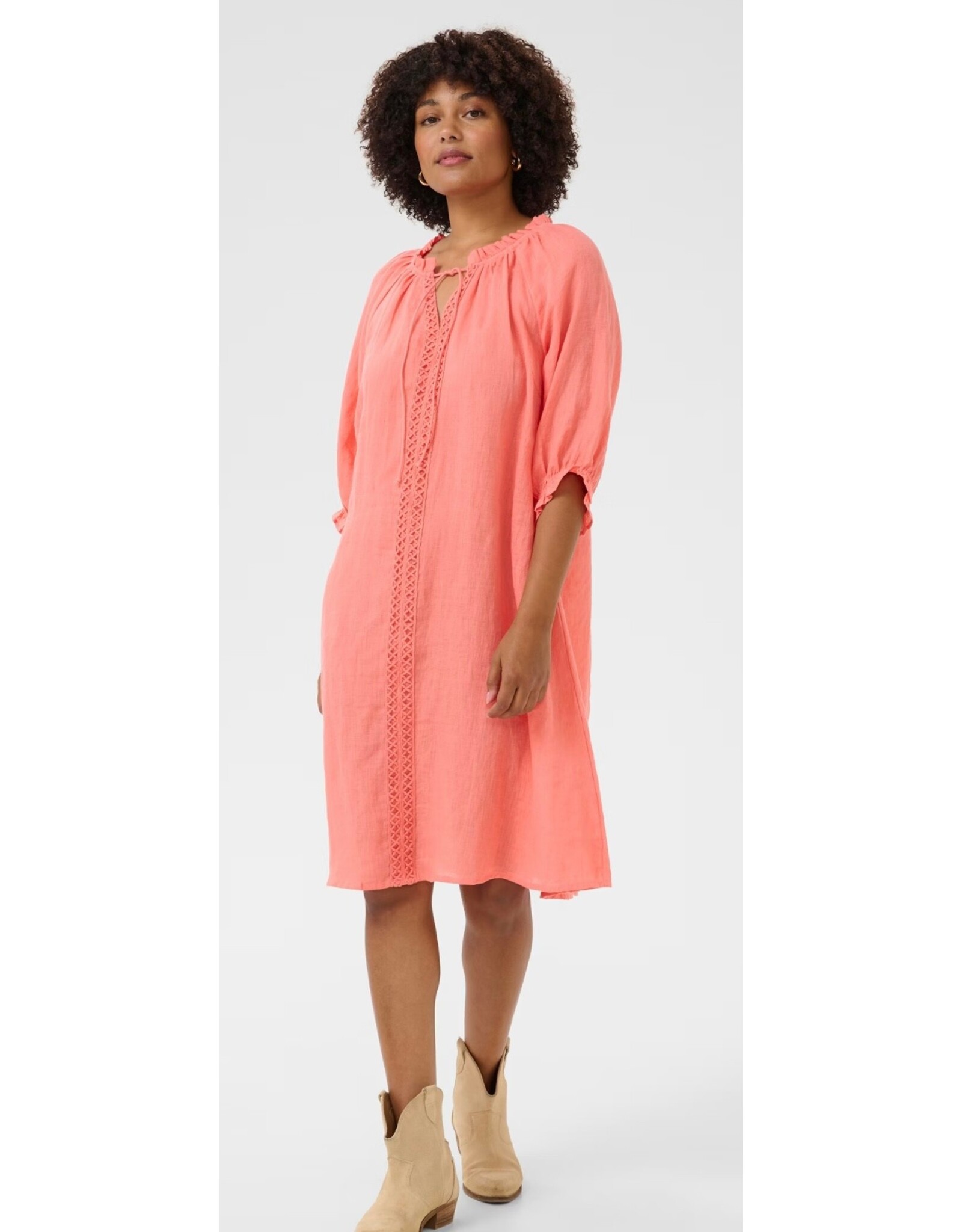 Cream Kleed Bellis porcelain rose