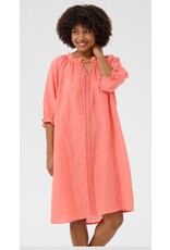 Cream Kleed Bellis porcelain rose