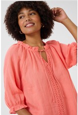 Cream Kleed Bellis porcelain rose