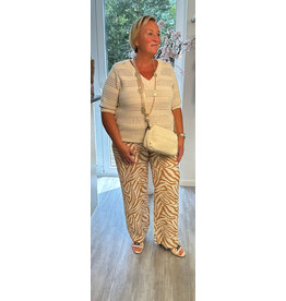 Brussel Trui Tenesa turtle beige