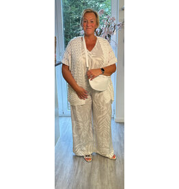 Yest Broek Tessa soft grey