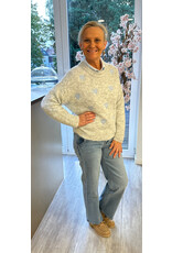 Parijs Trui Lovely grey