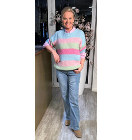 Brussel Trui Blossom stripe