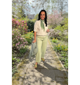 Allerlei Broek pipo lime bellita